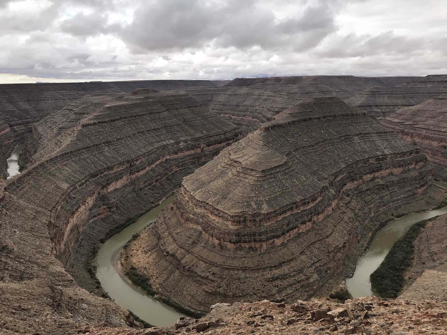 Gooseneck with 3.jpg