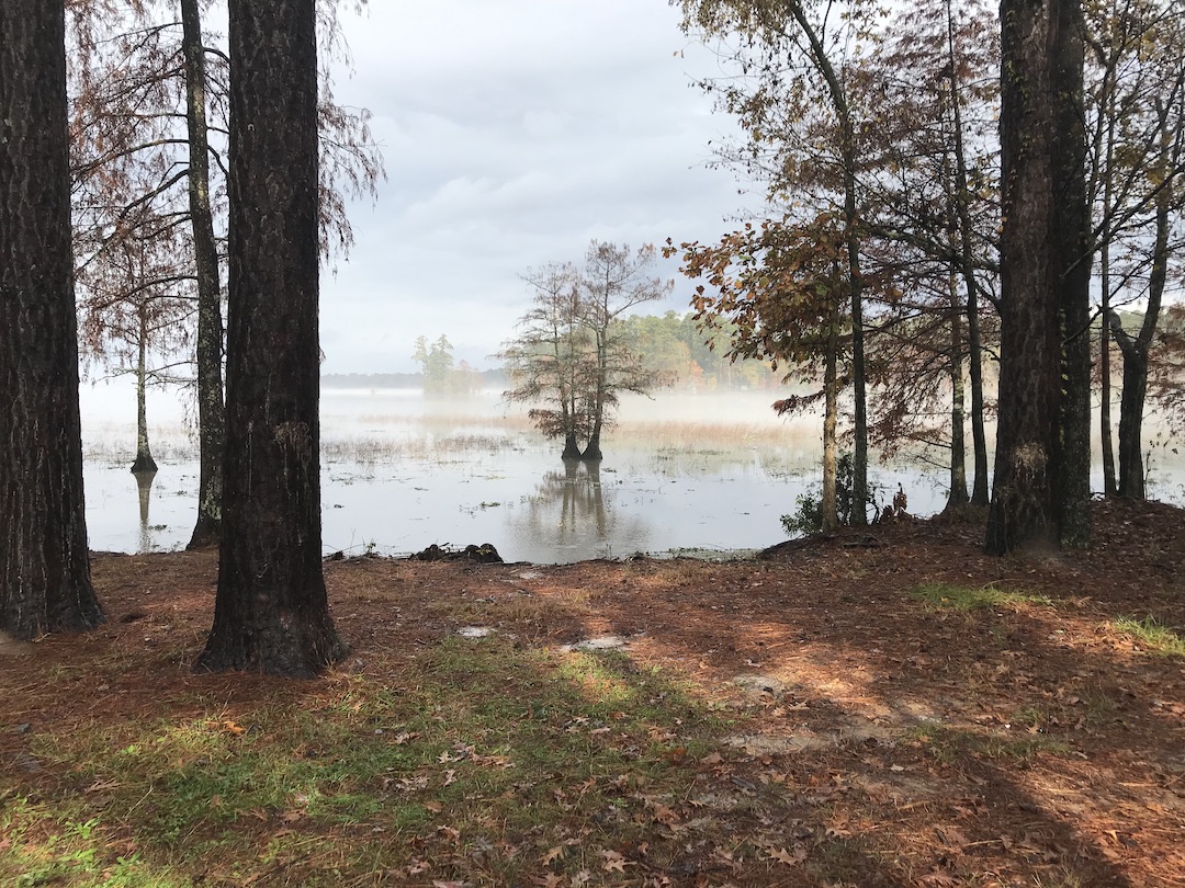 Sandy Creek ACE Campground